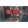 irregular shape bag packaging machine